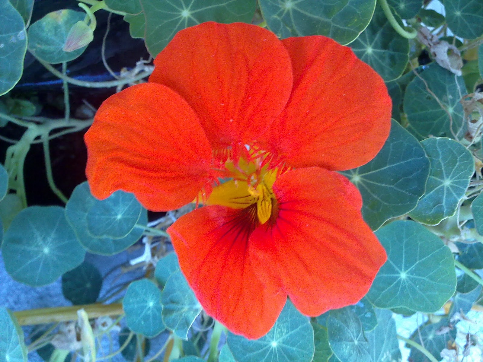 251120104848.jpg