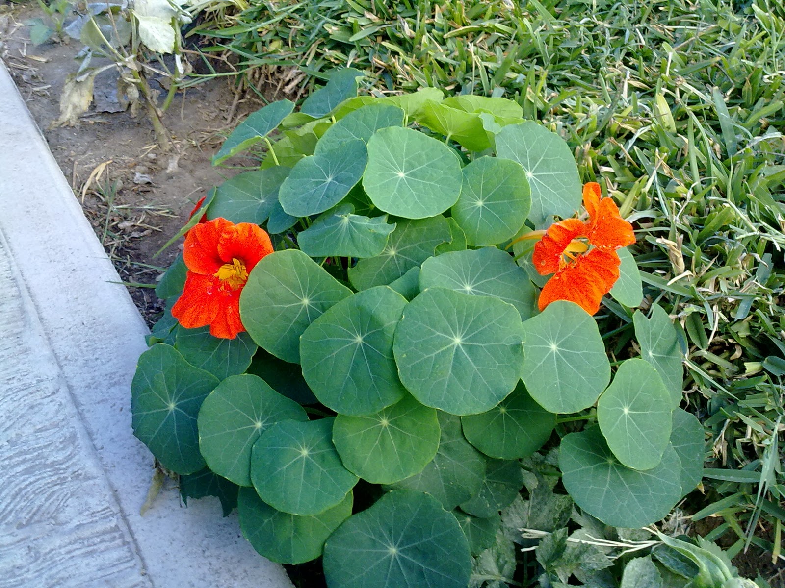 251120104852.jpg
