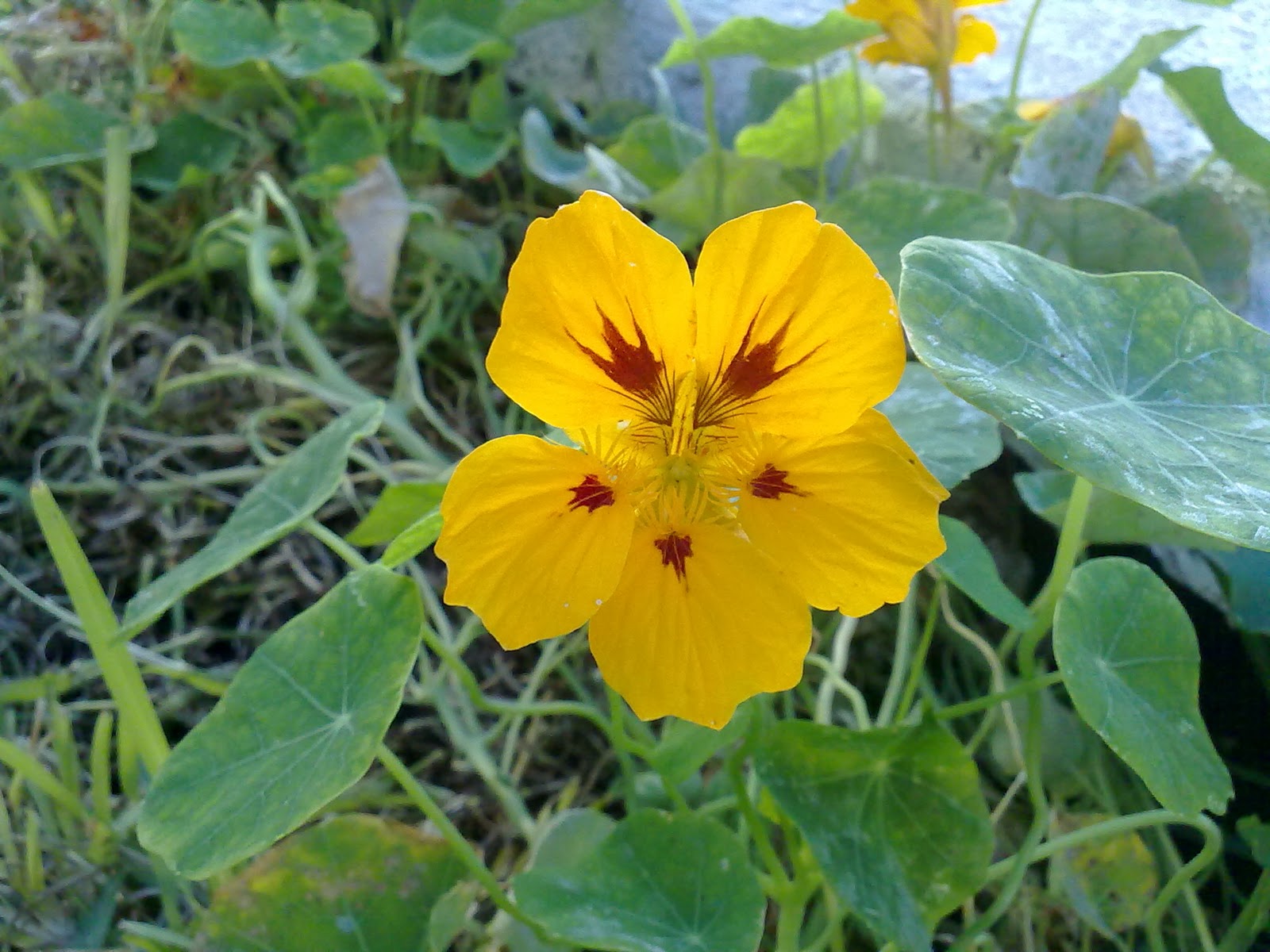 251120104901.jpg