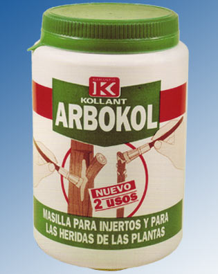 2512_Aniceto.jpg