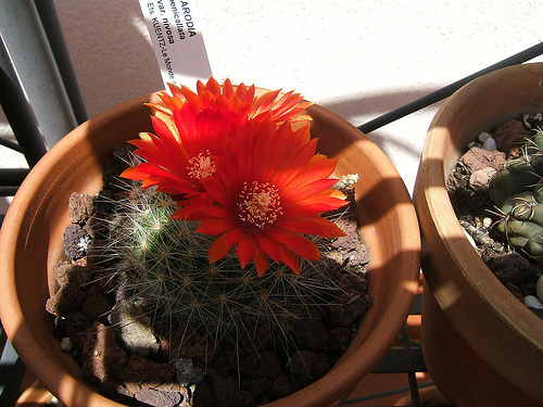 2515101995_19263125ff.jpg