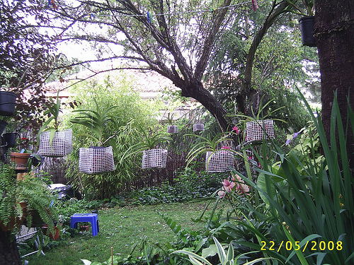 2515895709_56b81b0104.jpg