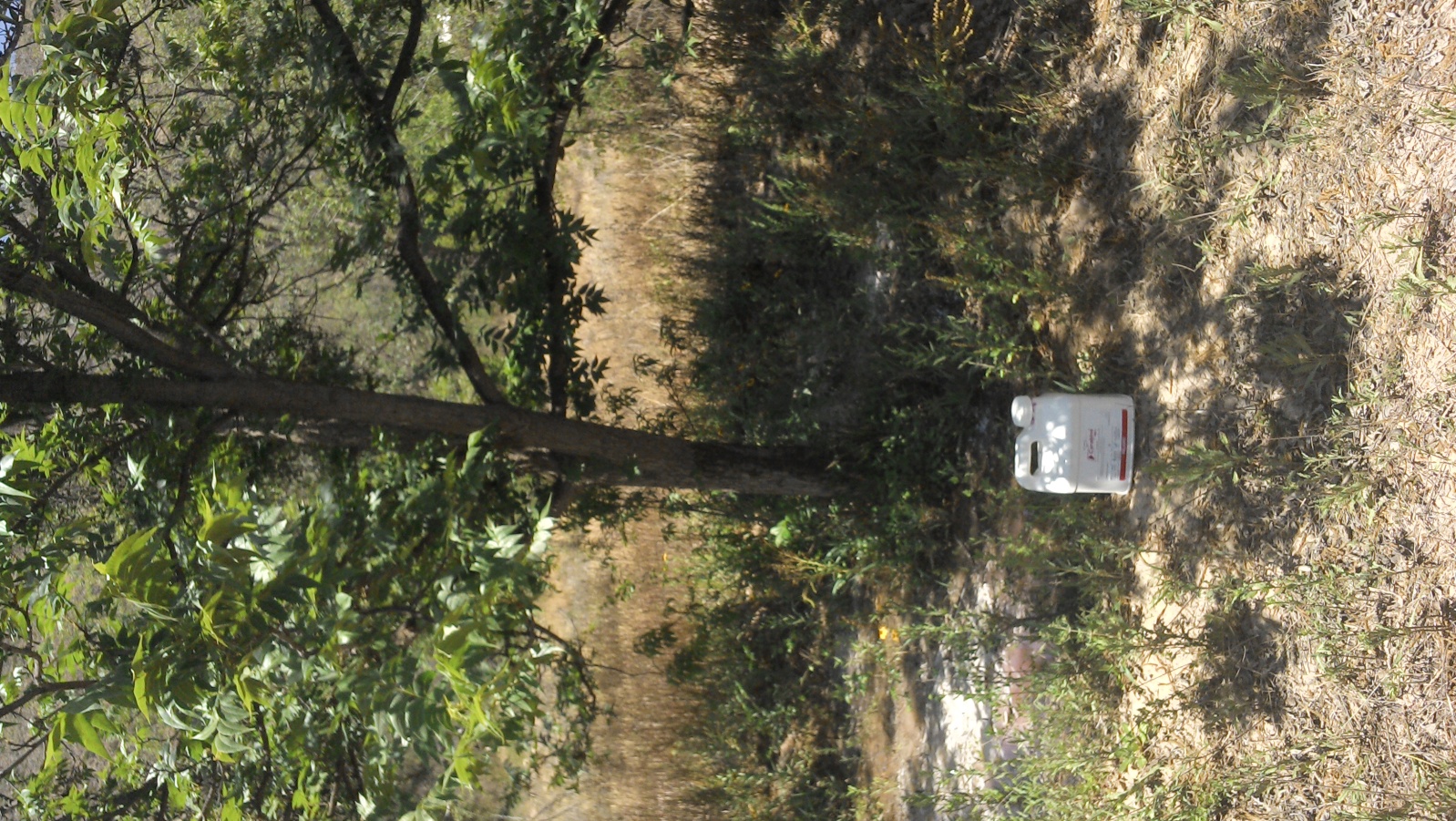 2552p1f.jpg