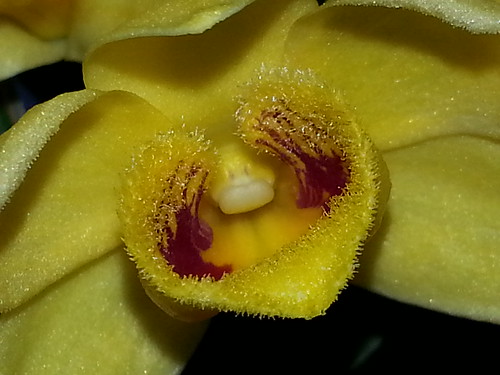 25580313245_169f8985bb.jpg