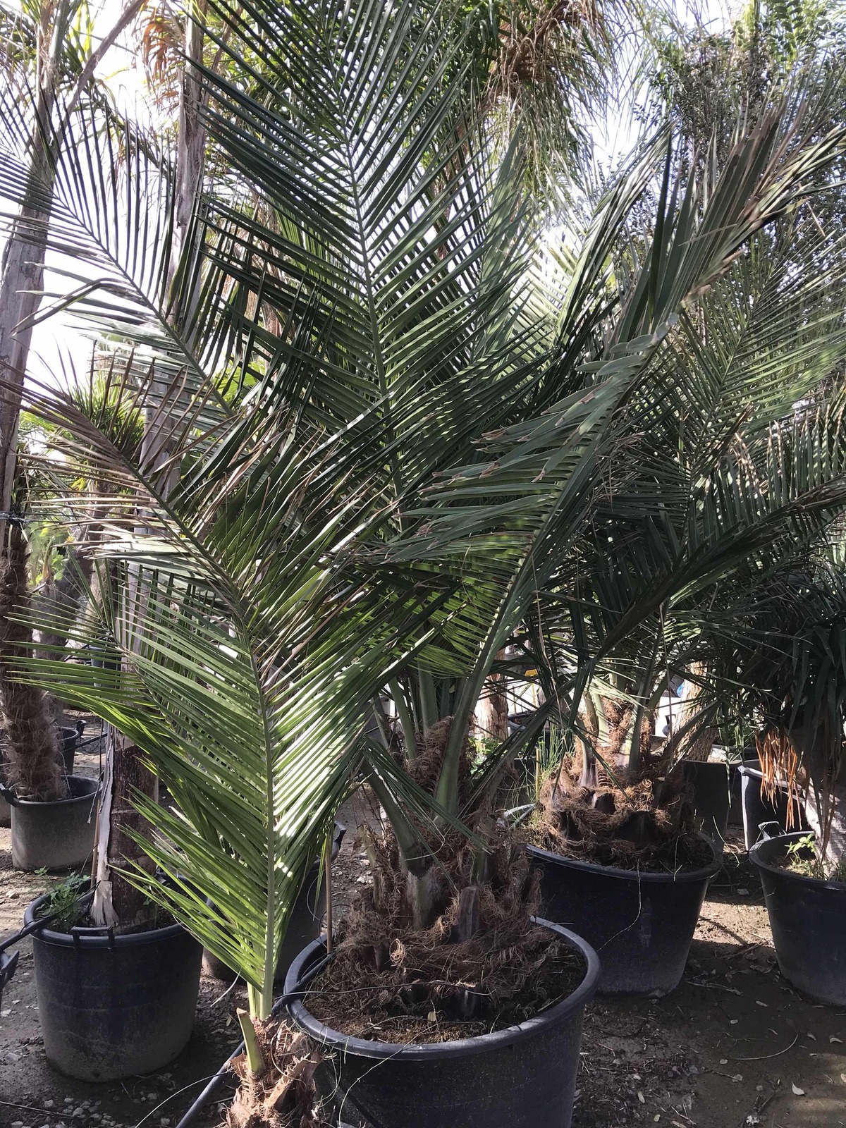 %255BUNSET%255D.jpg