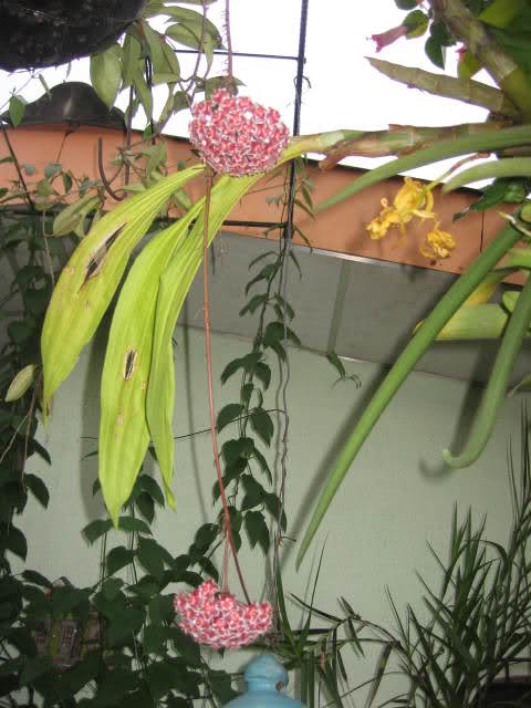 255umo0.jpg