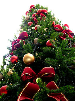 256px-Christmas_tree_sxc_hu.jpg