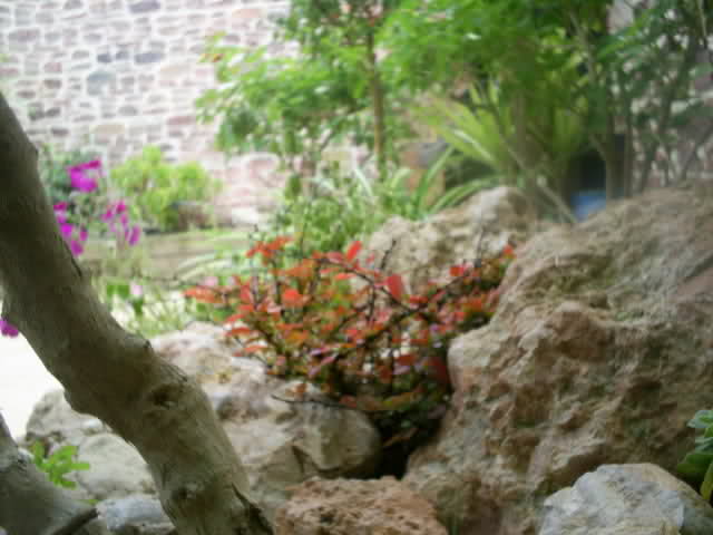 256r60j.jpg