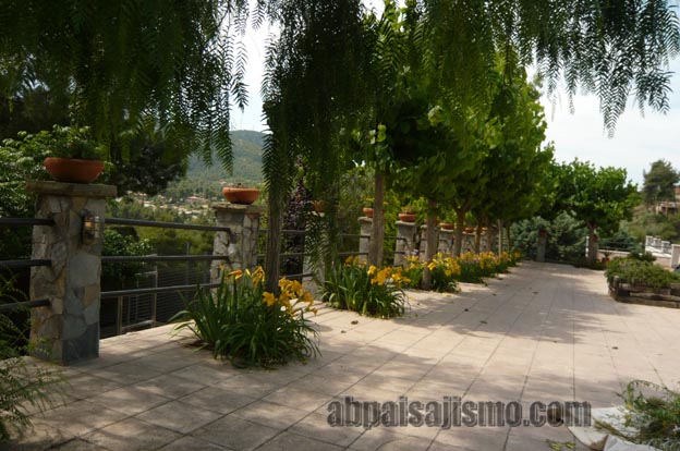 25787d1308576327-remodelacion-de-jardin-bajo-pinos-p1070508.jpg