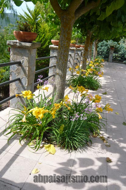 25790d1308576340-remodelacion-de-jardin-bajo-pinos-p1070492.jpg