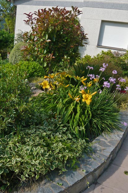 25791d1308576344-remodelacion-de-jardin-bajo-pinos-p1070467.jpg