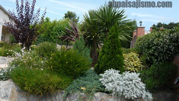 25792d1308576348t-remodelacion-de-jardin-bajo-pinos-panoramica-1.jpg