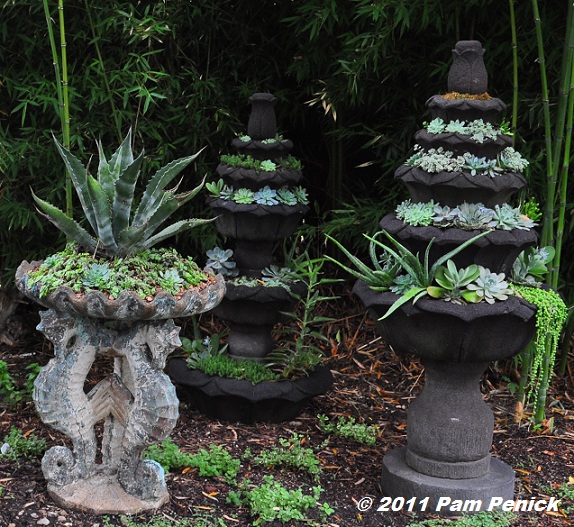 25_Succulent_towers.JPG