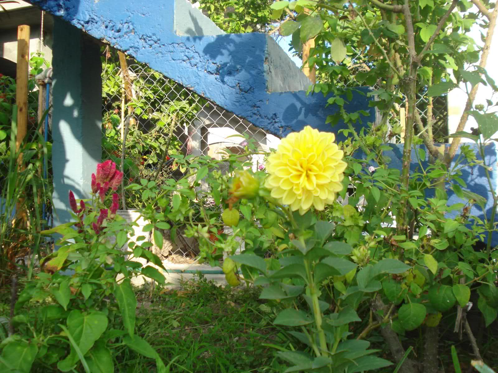 25a6lwp.jpg