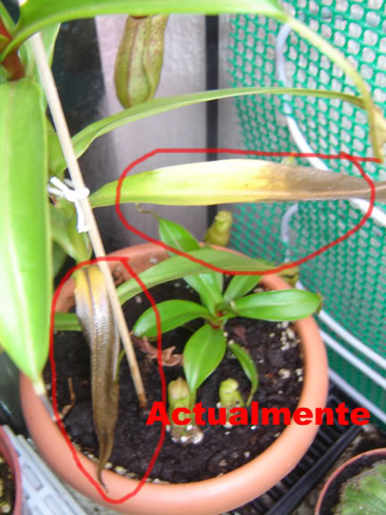 25DSC06780copy.jpg