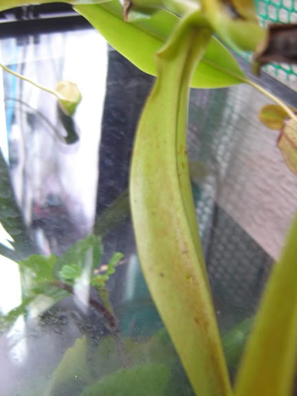 25DSC06788.jpg