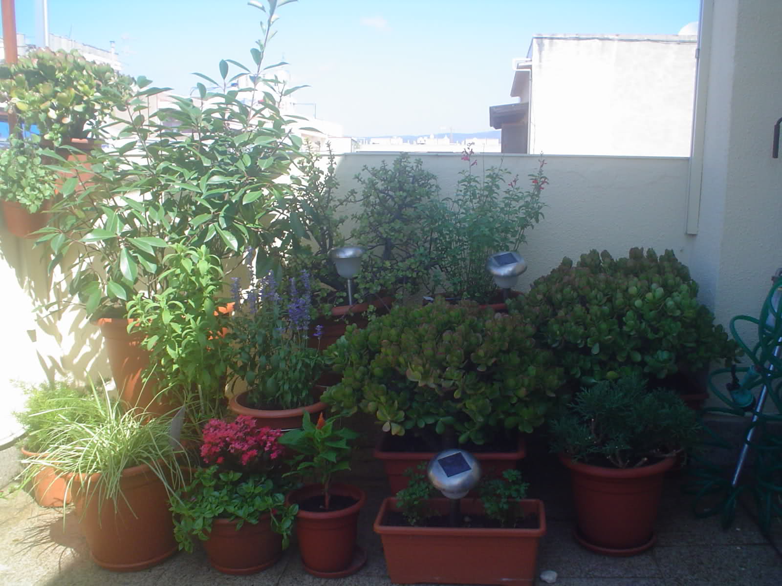25f7huw.jpg