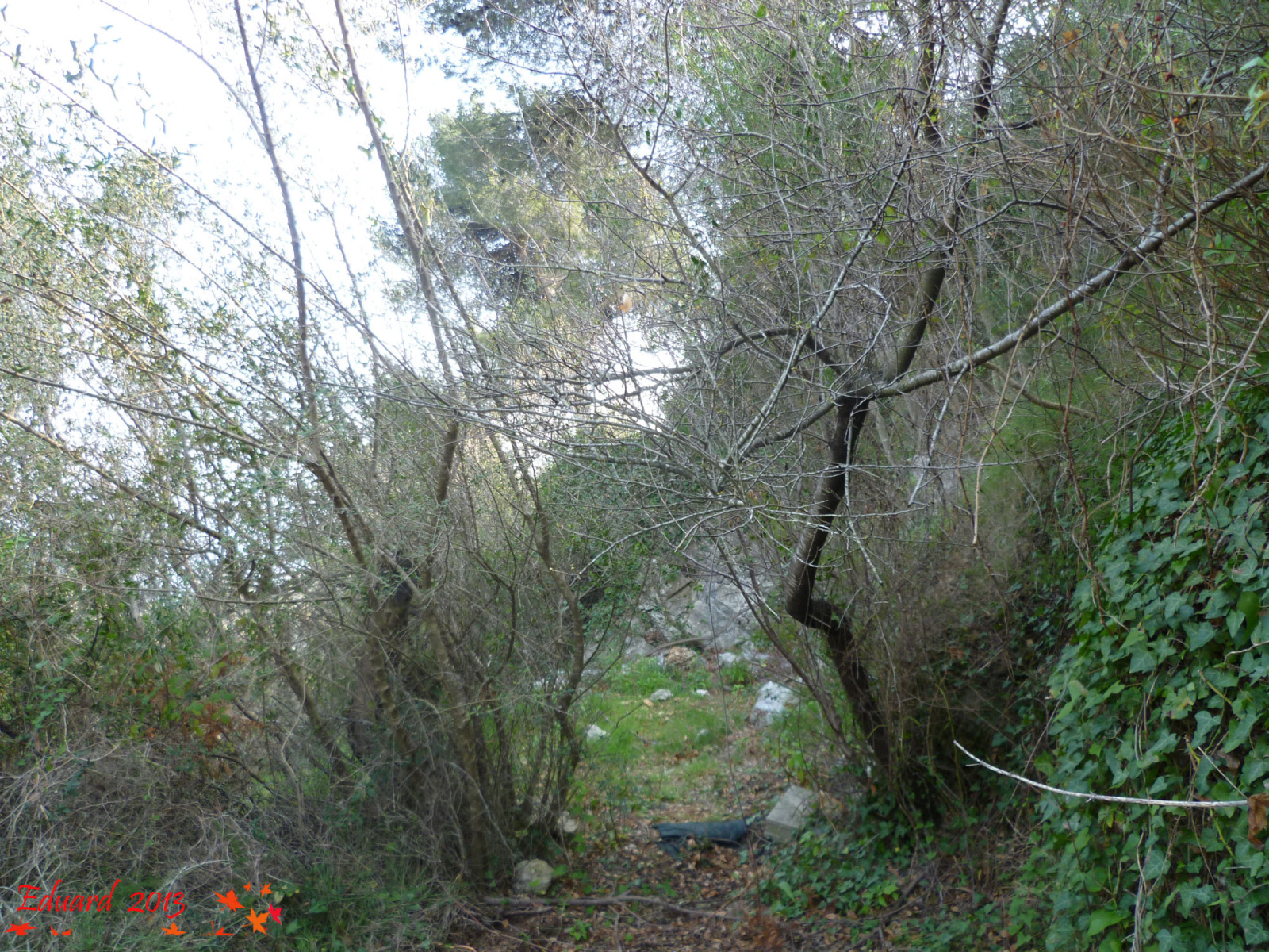25f86bo.jpg