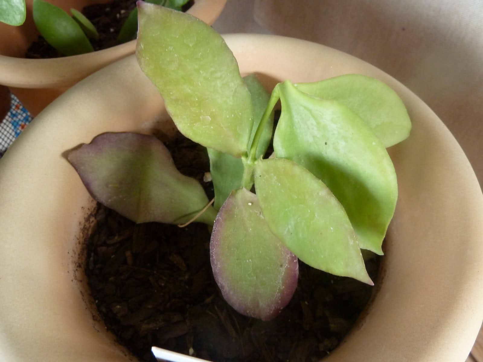 25g9ht2.jpg