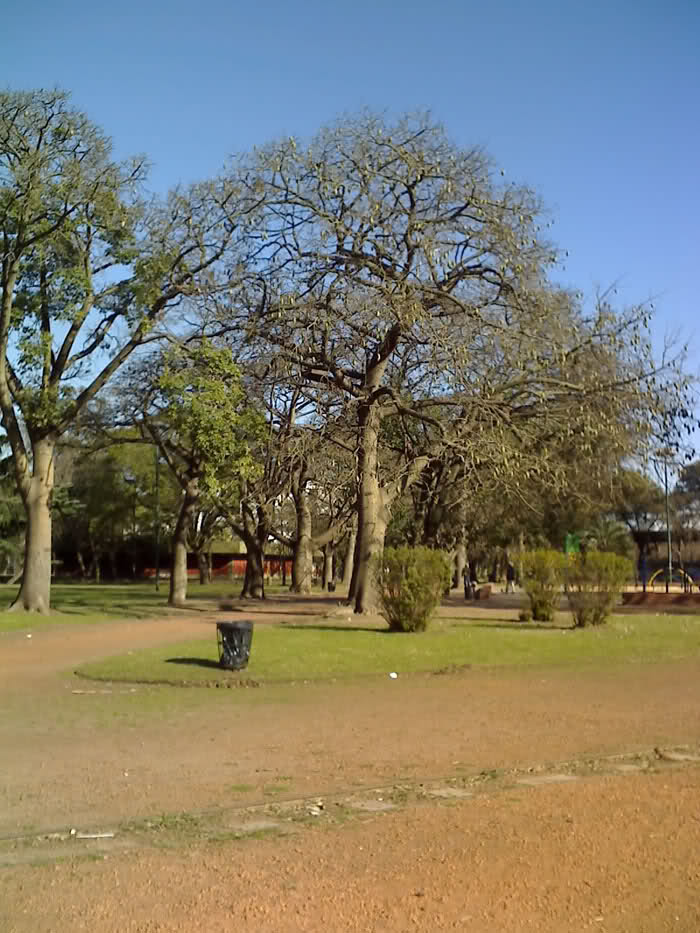 25p0855.jpg