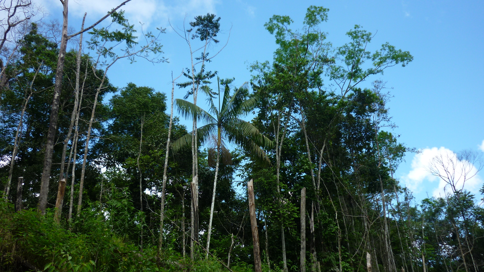 25tylj4.jpg
