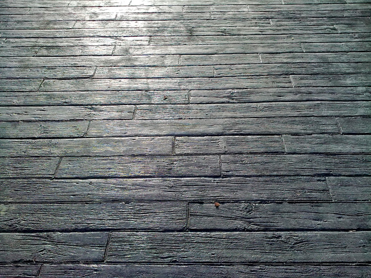 26012009_002.jpg