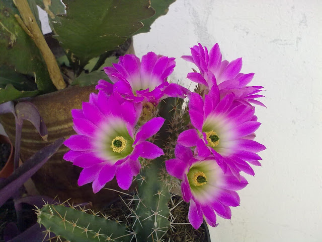 260220112352.jpg