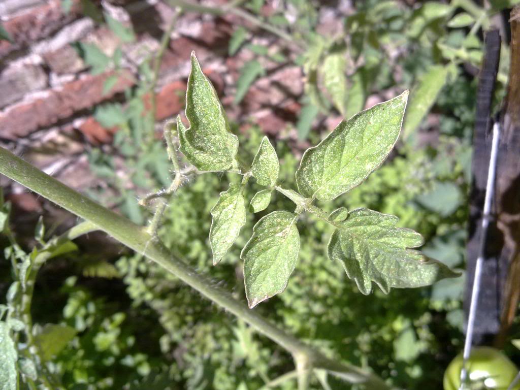 26022013076.jpg