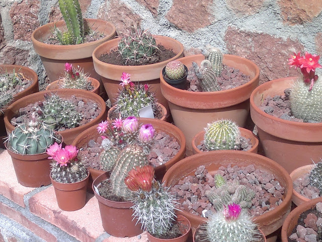 260320123271.gl=ES.jpg