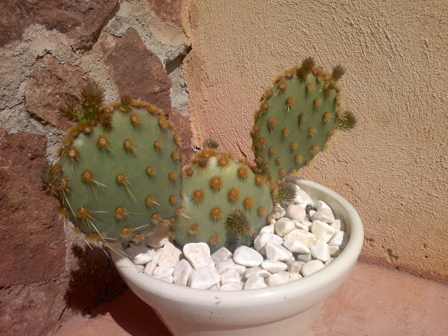 260320123278.gl=ES.jpg