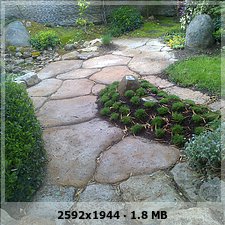 2603bae340260fd69a9460ef2c793da1o.jpg