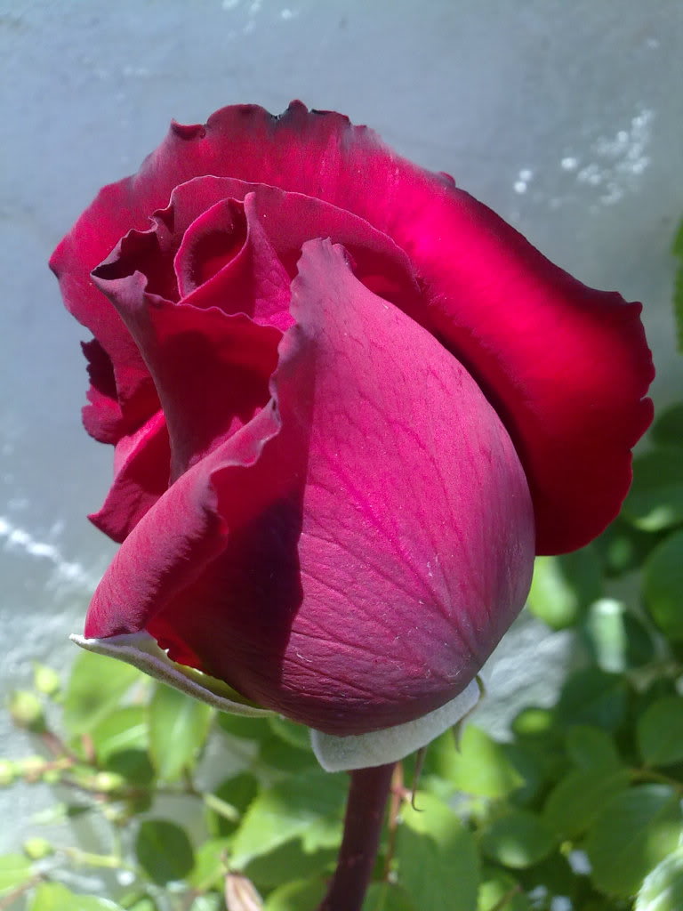 260420111657.jpg