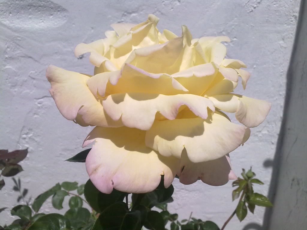 260420111662.jpg