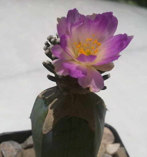 260420121343.jpg