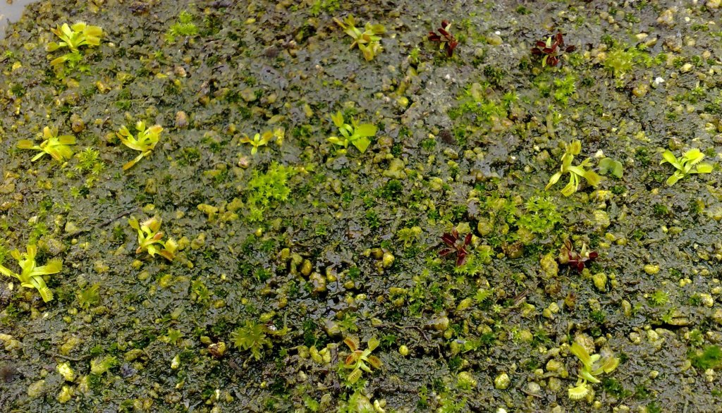 260520123102.jpg