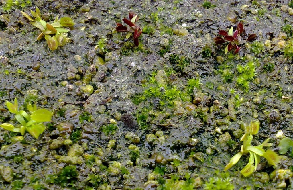 260520123103.jpg