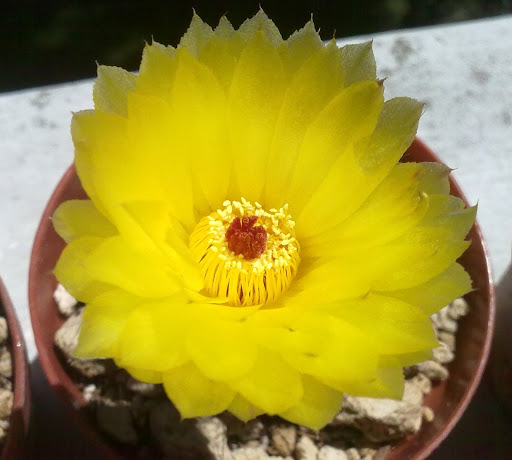 260720122216.jpg