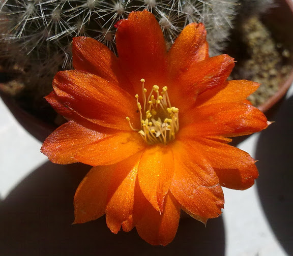 260720122217.jpg