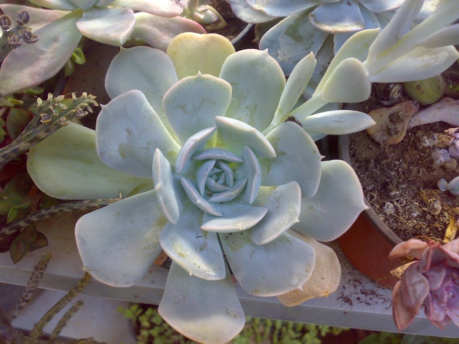 2608201213864.jpg