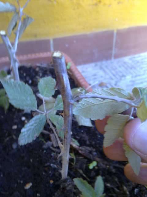 26092010648.jpg