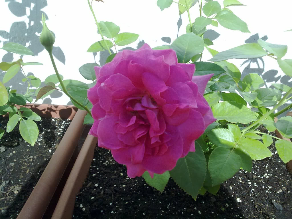 26092010891.jpg
