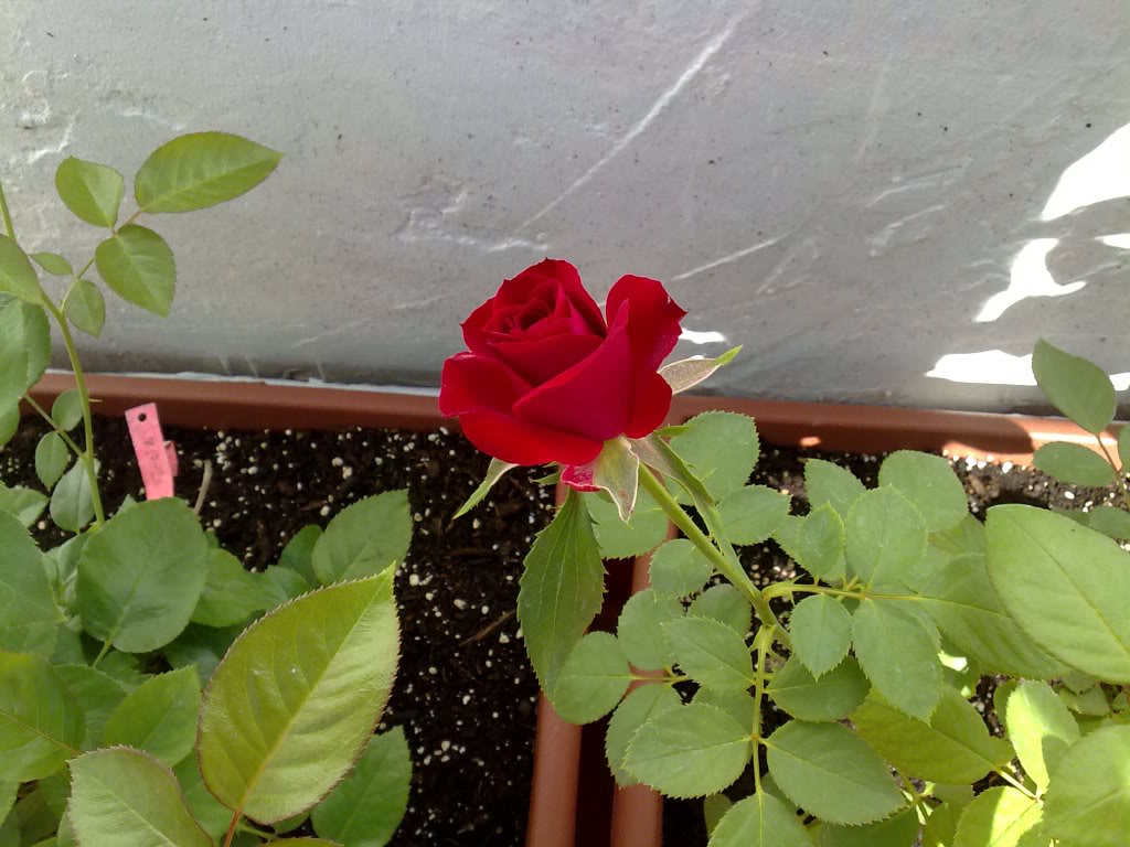 26092010893.jpg