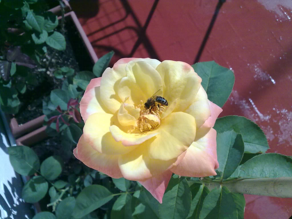 26092010897.jpg