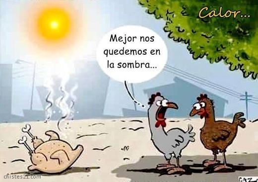 26092_mucho-calor.jpg