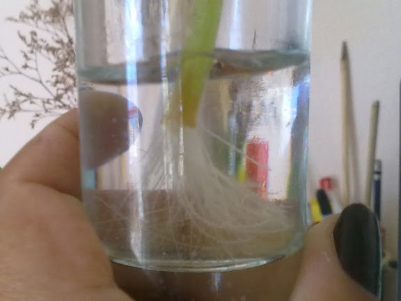 261020123550.jpg