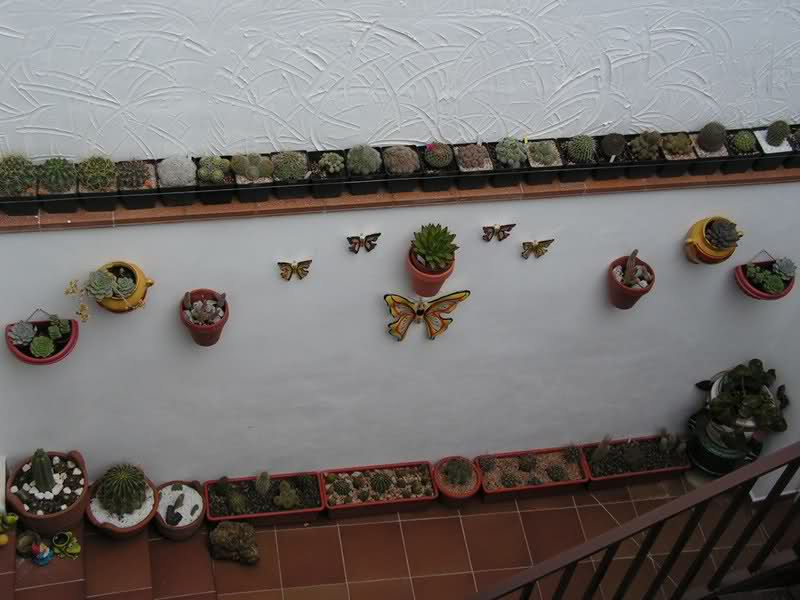 2621450.jpg