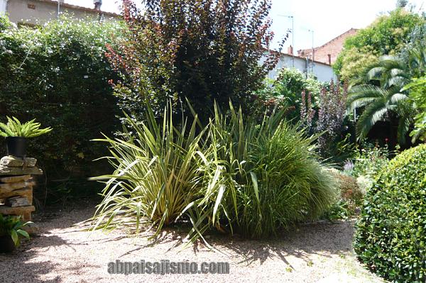 26469d1311353324t-el-jardin-de-la-parroquia-p1070658.jpg