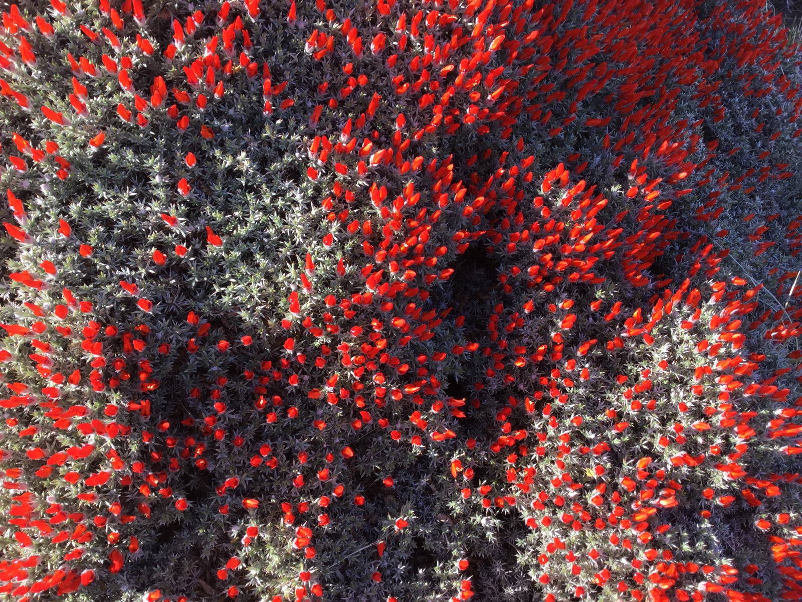 26733356799_b9f0f376e5_o.jpg