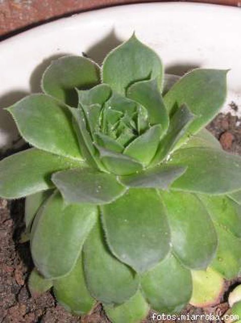 26859d71.jpg