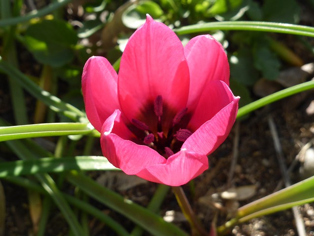26900559818_185f867df0_z.jpg